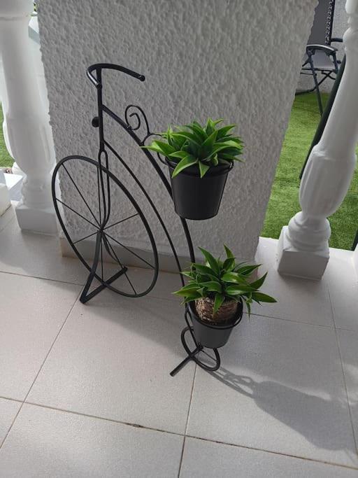 In La Marina With Cozy Garden And Private Solarium Holiday home San Fulgencio